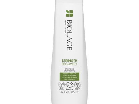 Biolage Strength Recovery wzmacniający szampon do włosów 250ml Sale