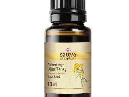 Aromatherapy Essential Oil olejek eteryczny Blue Tansy 10ml Discount