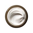 Plantscription™ Youth-Renewing Power Night Cream nawilżający krem liftingujący na noc z ekstraktem z Anogeissus 50ml Discount